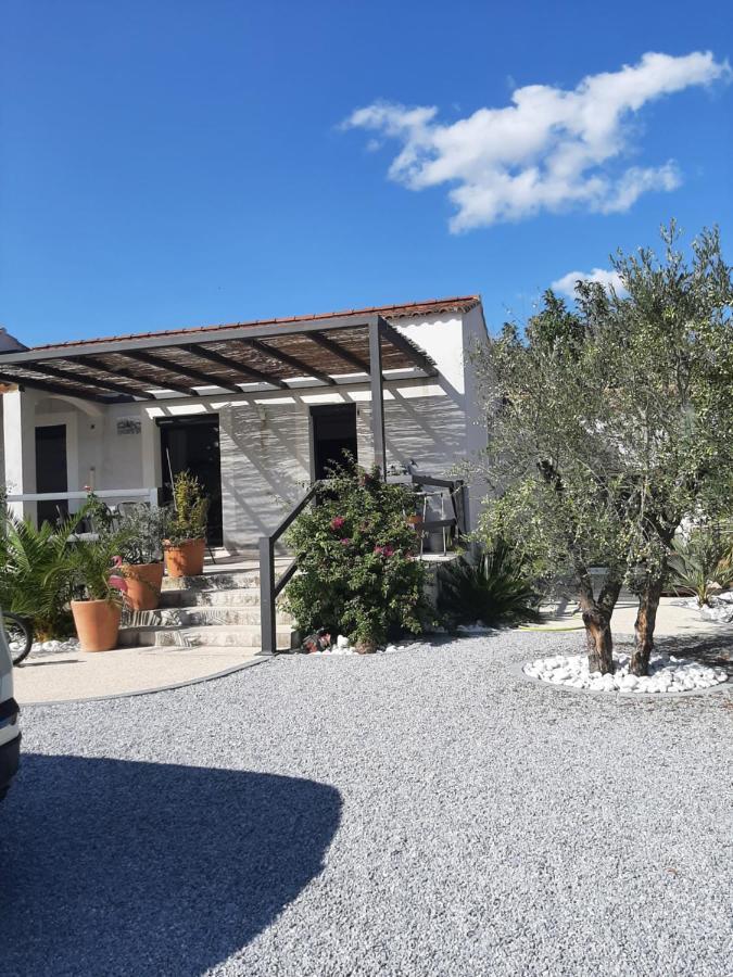 Chez Monique Et Remi Hotel Avignon Kültér fotó